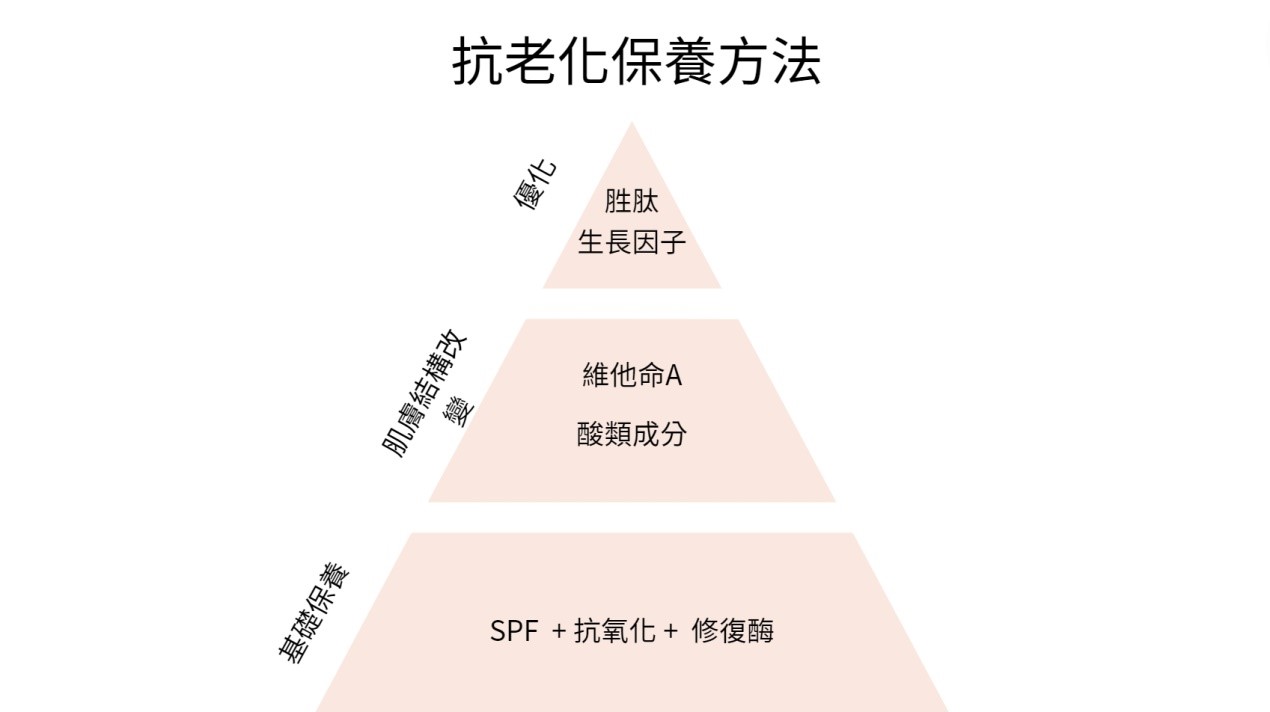 A醇只是抗老第二步！這一篇文章，來跟大家說明一種來自微球菌的DNA修復酶(光解酶)！微球菌的DNA修復酶(光解酶)被封裝在特殊的脂質體中，這些脂質體能夠促進活性成分轉移到肌膚深層，幫助識別DNA異常，並且修復受損區域。DNA修復酶(光解酶)可以降低紫外線誘導的膠原蛋白流失，幫助肌膚在日曬後還能多保留體內膠原蛋白！