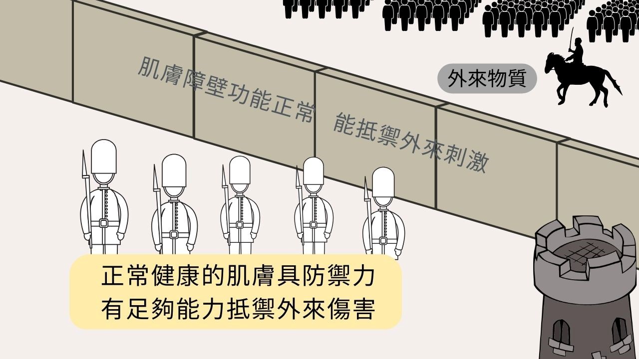 常聽到皮膚障壁功能，卻不知道到底是什麼意思嗎？我們可以把皮膚分成三層，第一層是角質層，第二層是真皮層，第三層是皮下組織，所謂皮膚障壁功能，就是落在第一層的角質層，今天就讓我們來解釋皮膚障壁功能的定義，還有要怎麼做才能建立起好的皮膚障壁功能吧！