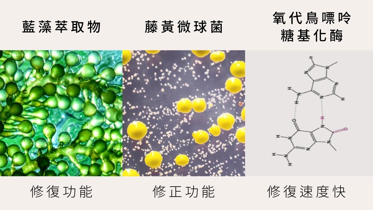 面對老化，許多人或許會感覺惆悵，其實日常只要多做一些保養，就能幫助抗老，今天就讓我們來探討抗老的概念，還有能擦什麼幫助抗老吧！抗老保養怎麼做？來看看這篇抗老新觀念的文章！