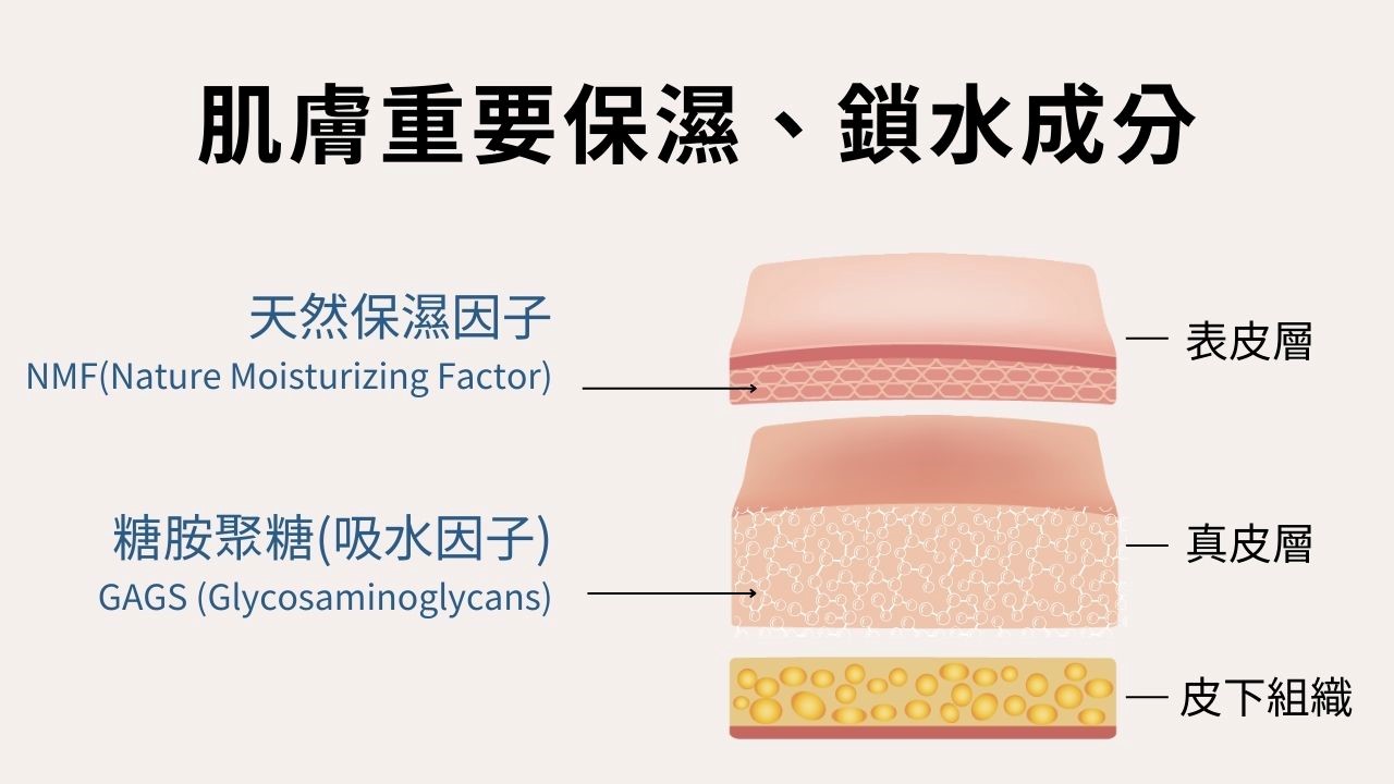 為何要保濕？保濕的重要性是什麼？