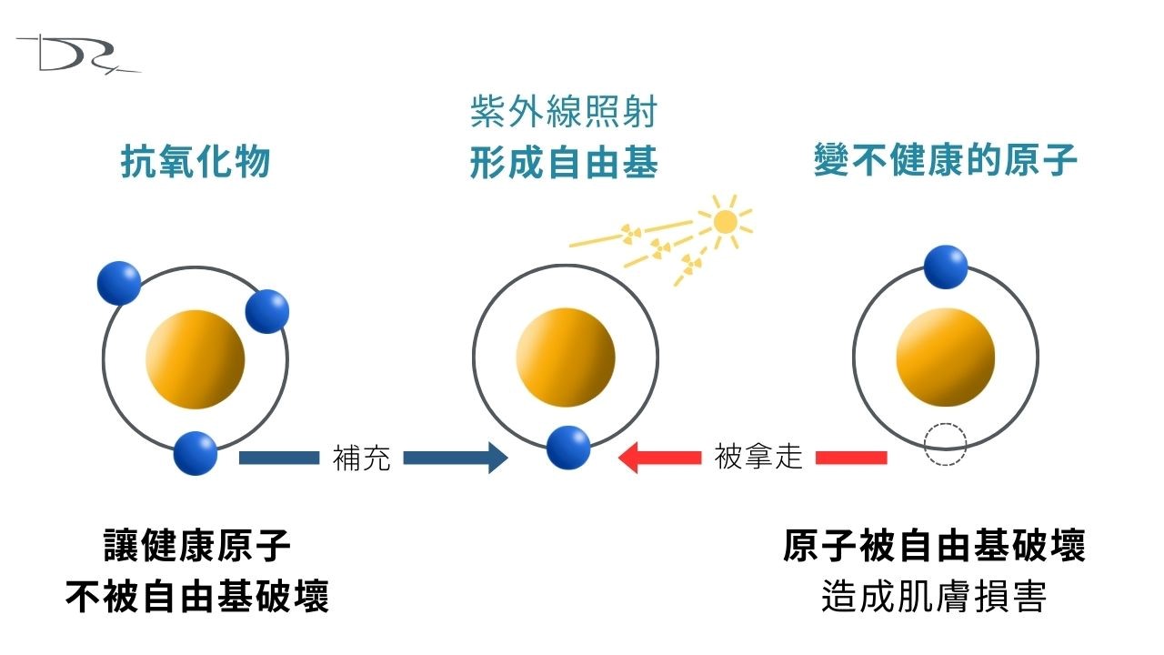 我們常常會看到保養品的廣告，都說到抗老化、抗氧化、抗自由基、減少皺紋。抗氧化劑到底是什麽，真的是像廣告上面寫這麽神嗎？這一篇抗氧化的科普文章，來幫你解惑！