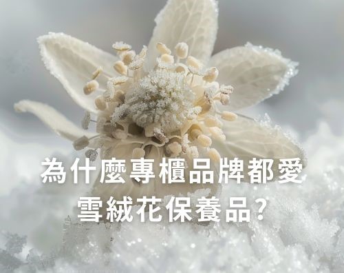 為什麼專櫃品牌都愛雪絨花保養品？雪絨花哪裡買？