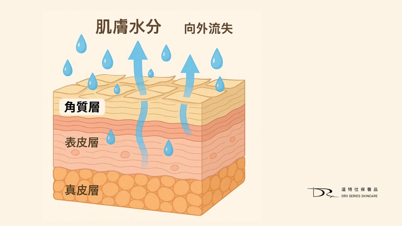 皮膚為什麼會乾癢？皮膚保濕推薦！