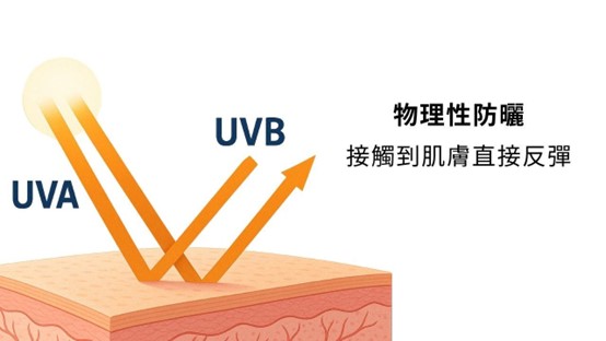 臉部防曬怎麼擦？油肌怎麼選防曬？