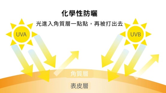 臉部防曬怎麼擦？油肌怎麼選防曬？