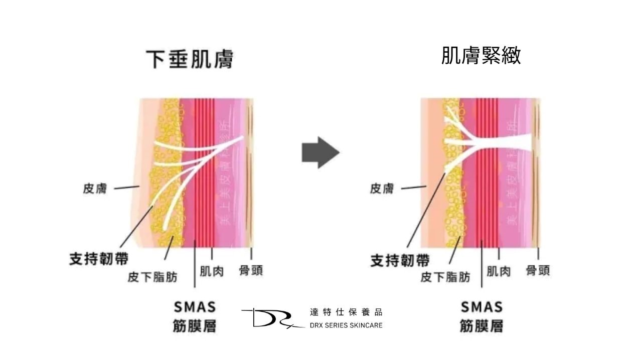 微電流美容儀有效嗎？科學依據、效果與常見疑問全解密？