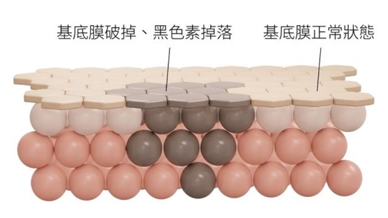 淡斑推薦成分？熊果素要跟哪些成分一起用效果最好？