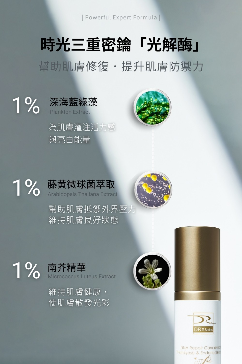 DRX達特仕的雪絨花保養品系列-DRX超肌因修賦精華(乳)，回復澄淨光澤，讓肌膚重返年輕。