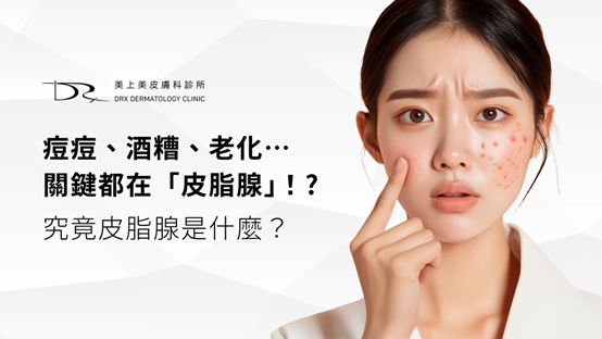 青春痘、老化和酒糟肌的罪魁禍首竟都是皮脂腺！究竟皮脂腺是什麼？
