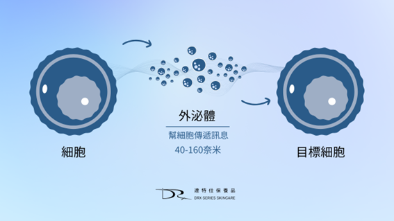 外泌體是什麼？