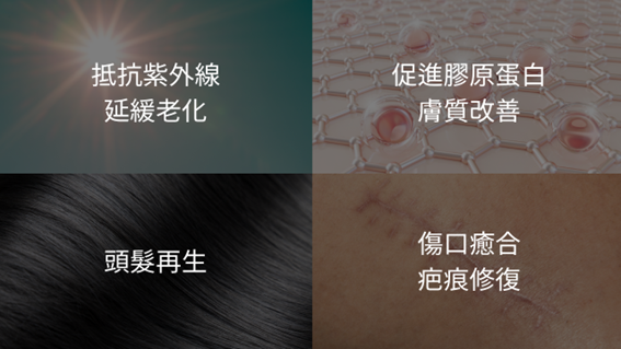 外泌體是什麼？