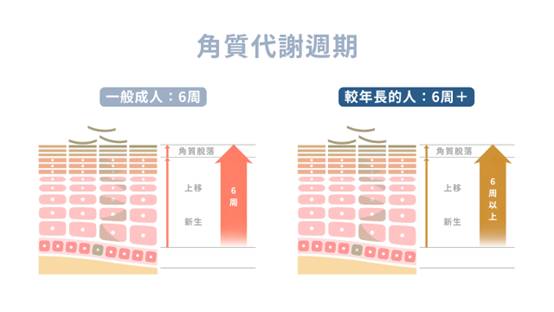 無論是改善青春痘、美白淡斑,保養品擦多久才有效果? 無論是改善青春痘、美白淡斑,保養品擦多久才有效果?