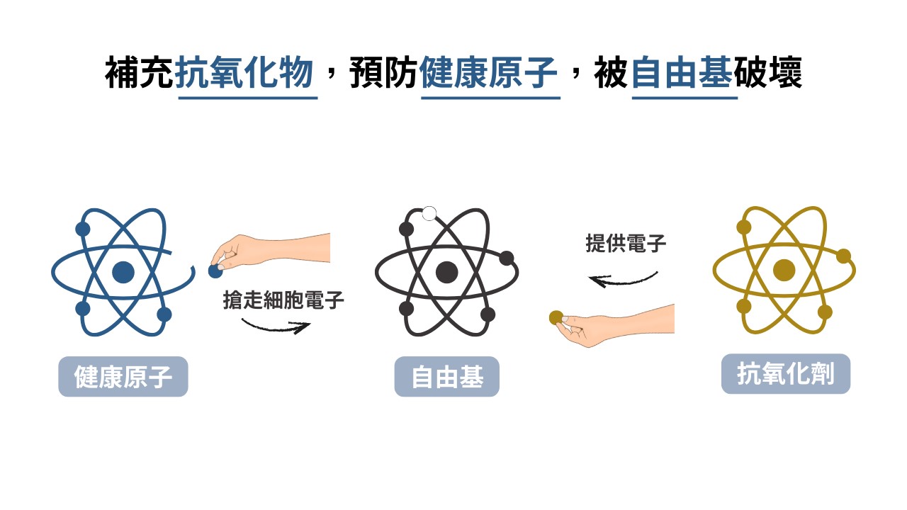 為什麼皮膚需要抗氧化：維他命C早上擦的好處？晚上可以塗維他命C嗎？