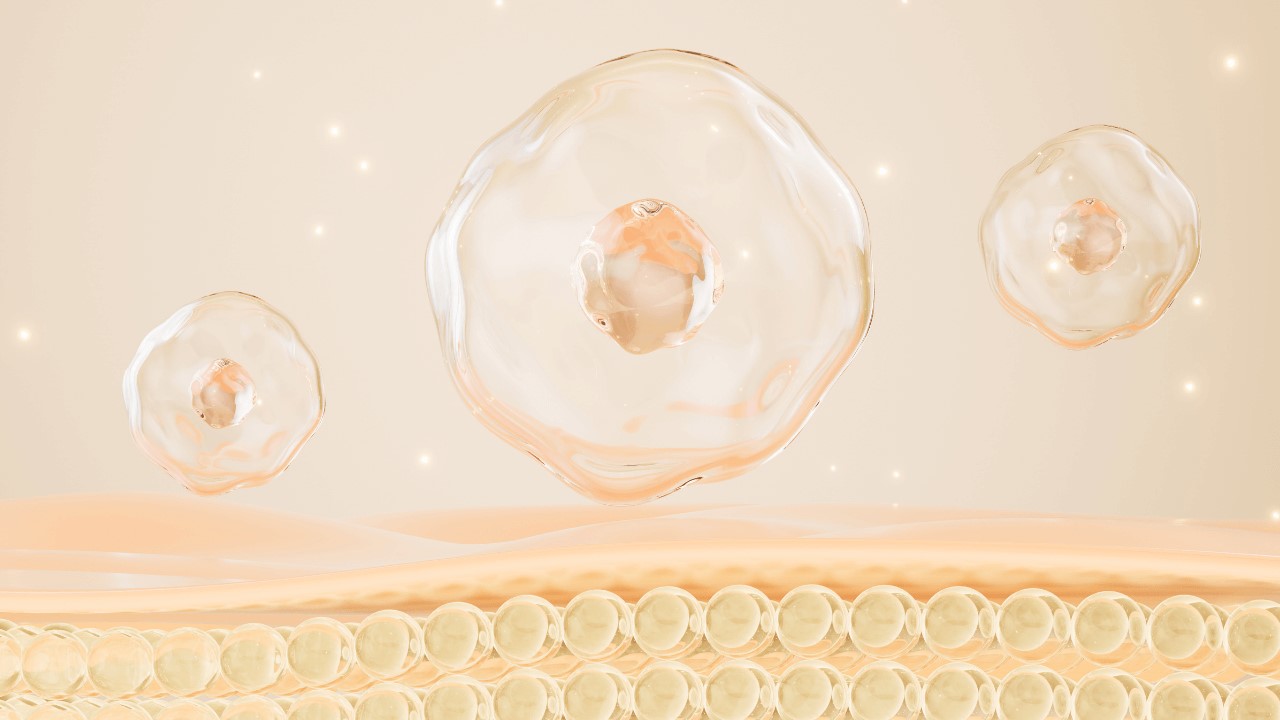 只做抗氧化不等於抗老?為什麼抗老效果仍然有限? 只做抗氧化不等於抗老?為什麼抗老效果仍然有限?