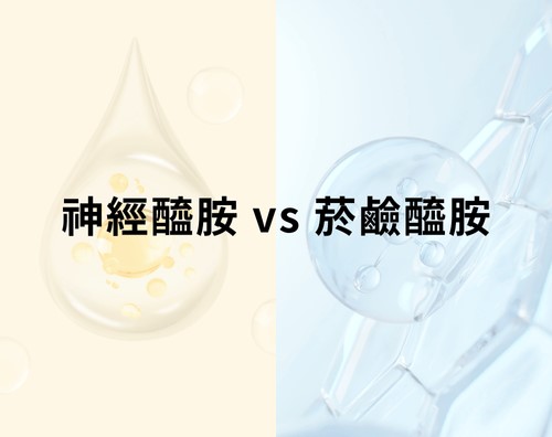 神經醯胺vs菸鹼醯胺