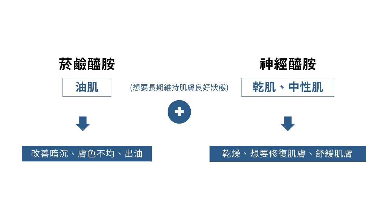 神經醯胺vs菸鹼醯胺