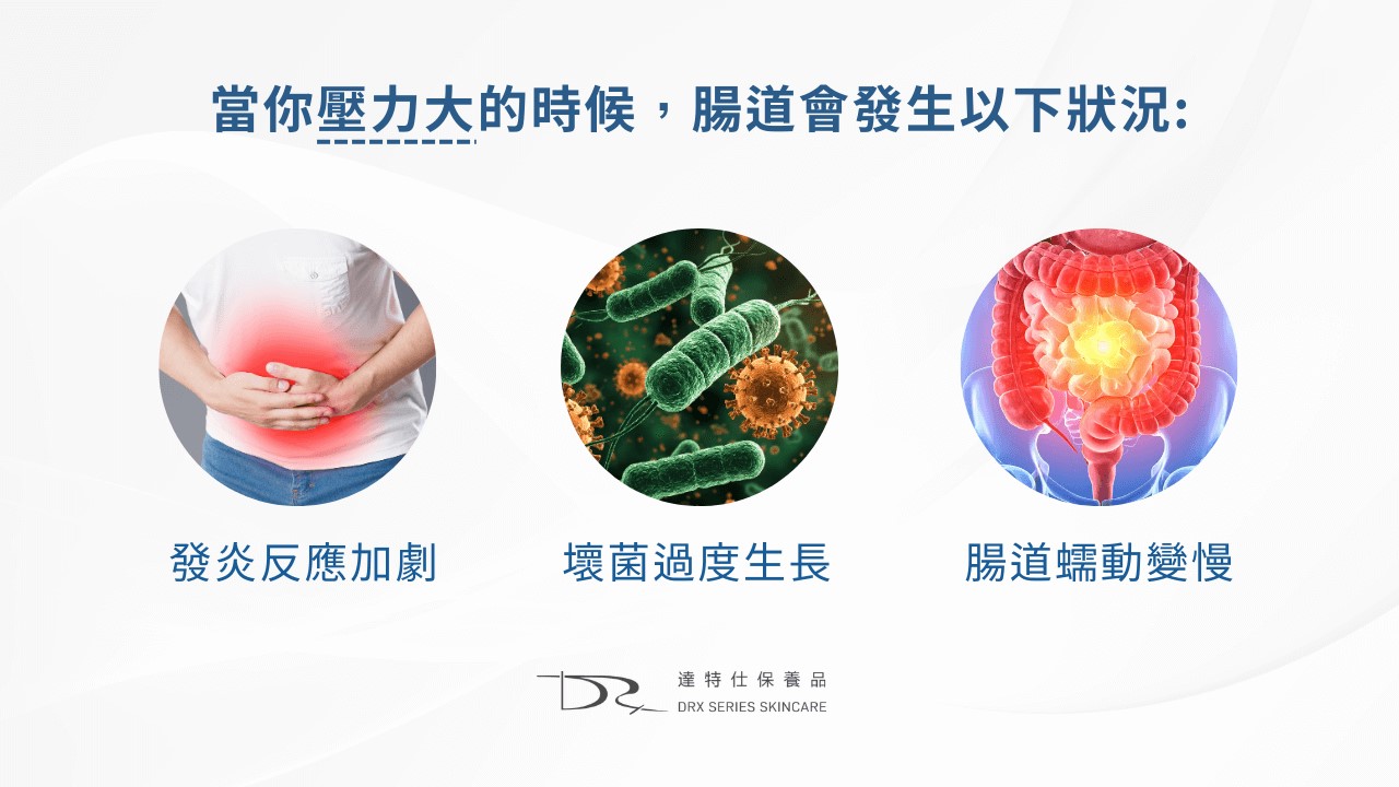 吃益生菌會讓皮膚變好嗎？吃益生菌對痘痘有幫助嗎？