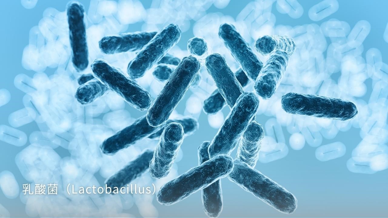 益生菌會讓皮膚變好嗎?益生菌用吃的還是用擦的,哪個效果比較好? 益生菌會讓皮膚變好嗎?益生菌用吃的還是用擦的,哪個效果比較好?