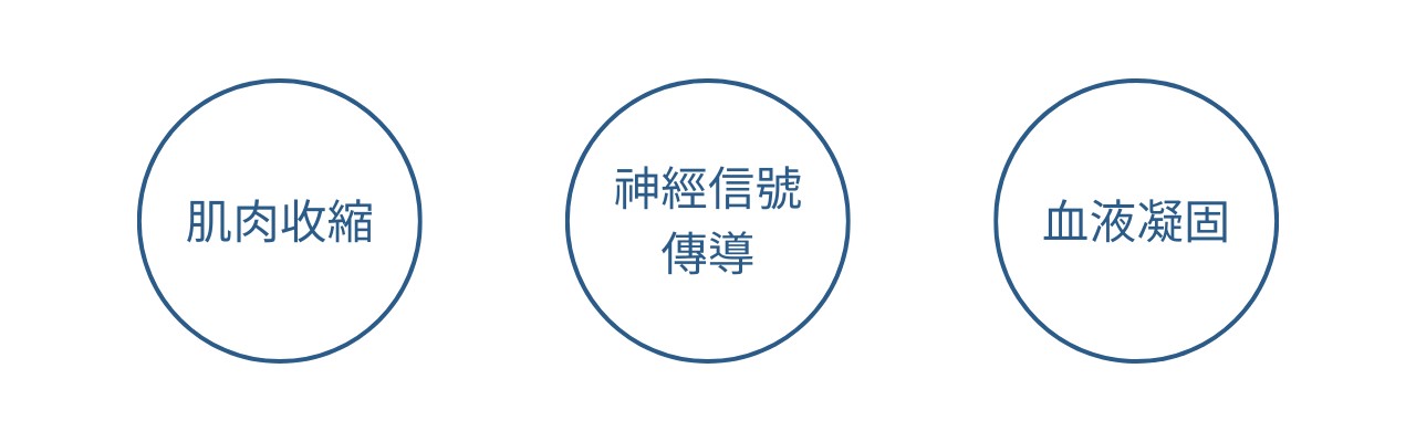 40歲女性保健食品？更年期前期保養？