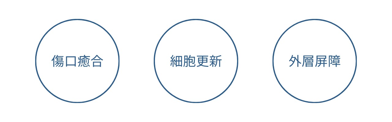 40歲女性保健食品？更年期前期保養？