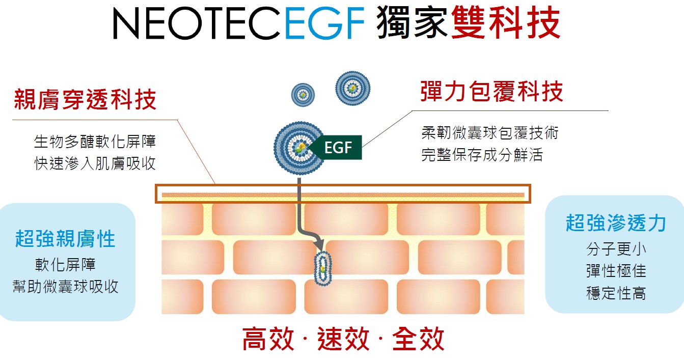 40歲乳液推薦！生長因子是什麼？EGF皮膚功效？