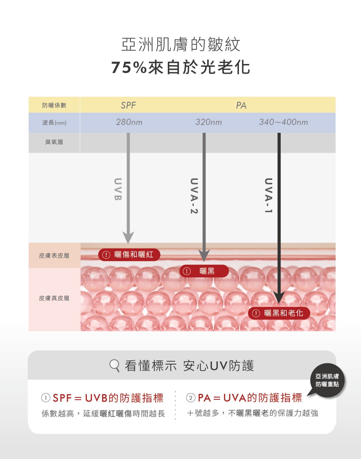 SPF 50+、PA++++、★★★★、CW 381nm，皮膚專科醫師天天用的清爽防曬！醫美防曬「荷麗美加」狂曬不怕黑，日間保養最後一步，輕盈舒適。  速乾無痕 隱形防護盾  輕盈柔潤 零肌感不沾黏  單擦、混色、疊擦都ok  醫美後必備防曬 柔敏抗UV  全面保護亞洲III/IV型肌膚